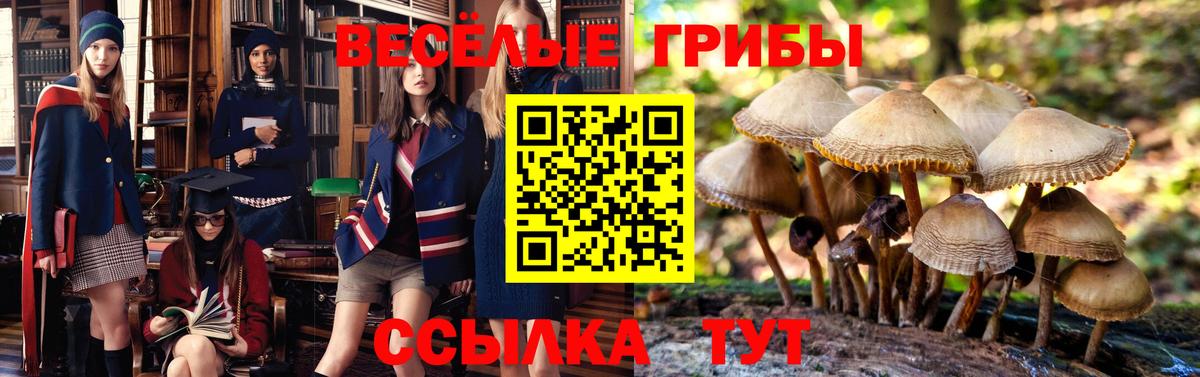 Псилоцибиновые грибы MAGIC MUSHROOMS Сызрань