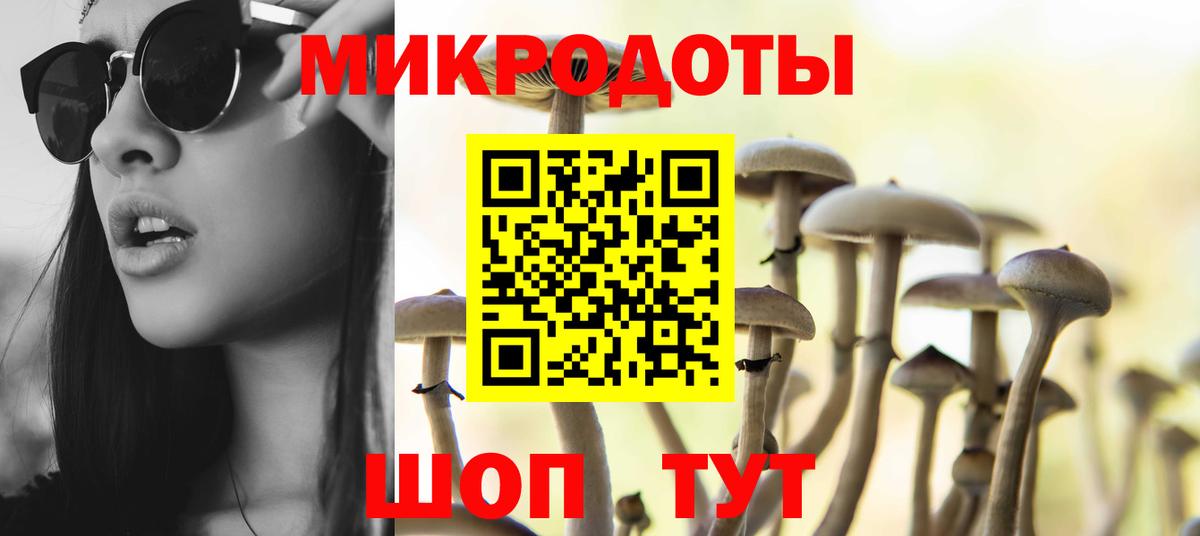 Галлюциногенные грибы прущие грибы  Вход с VPN  купить закладку  Сызрань 